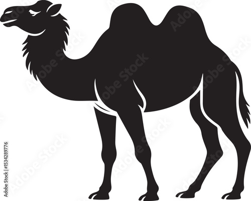 Camels silhouette