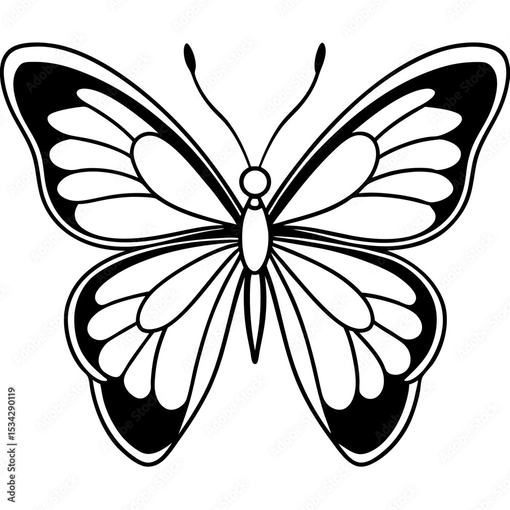 Elegant Butterfly Outline Vector Elegant Butterfly Outline Vector