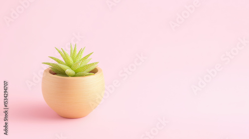 Minimalist Green Plant in Wooden Pot on Pink Background with Copy Space – Modern Aesthetic for Branding, Social Media, or Product Mockups