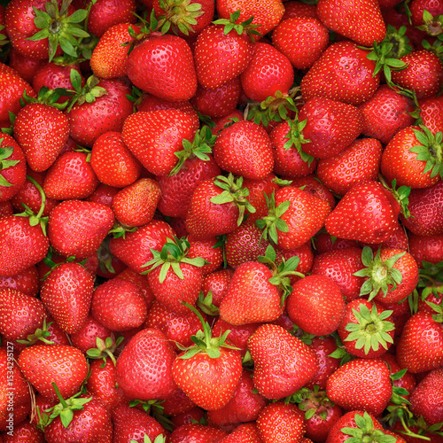 A pile of freshly harvested organic strawberries. Close up.