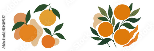 Colorful illustrations of oranges and leaves arranged artistically in a vibrant design for decorative purposes