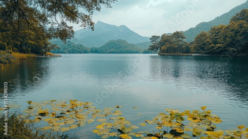 Tranquil lake reflecting mountains, trees, lily pads