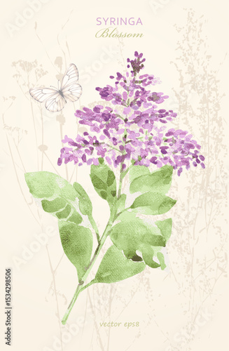 vintage card with watercolor Syringa blooming branch.  watercolour painting flowering woody plant lilac on grungy background