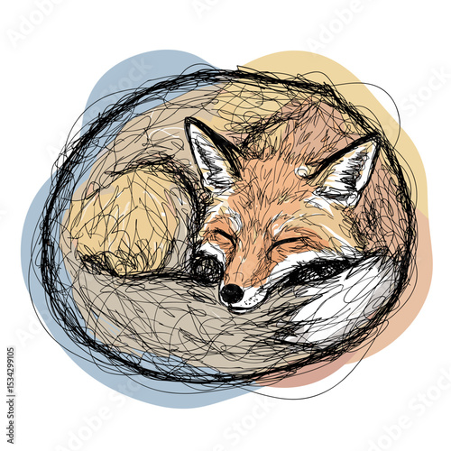 Sleeping fox curled up in a sketchy style against colorful background  