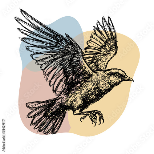 Sketch of a flying bird with outstretched wings on colorful background  