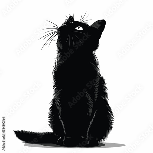 Black and white isolated domestic feline with fluffy fur looking adorable