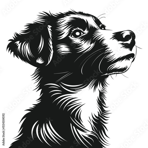 Black and white border collie puppy, vector isolated on white, cute purebred domestic animal head portrait