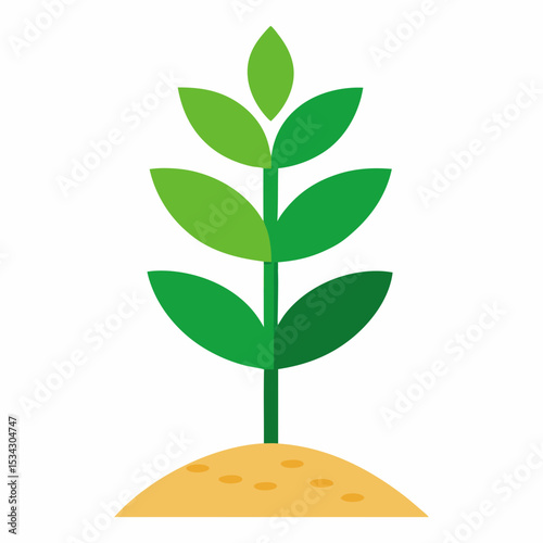 Vector art illustration of a sapling