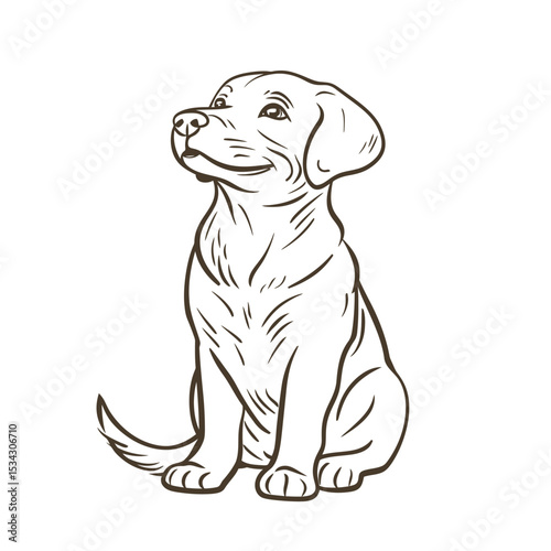 Cute brown puppy dog with a bone, a funny cartoon illustration of a happy sitting pet