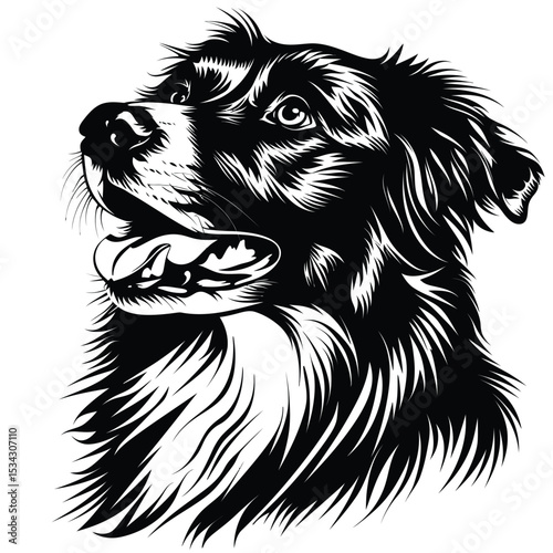 Black and white border collie vector illustration of a cute sitting puppy on a white background