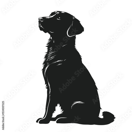 Isolated black Labrador Retriever puppy on a white background, a cute purebred canine