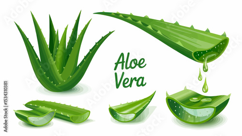Scalable Aloe Vera Plant Design Elements perfect for cosmetic branding logos and natural product packaging design creating vibrant and healthy visuals
