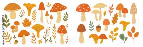 Colorful collection of various mushrooms and autumn leaves in a whimsical design