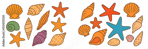 Colorful collection of various seashells and starfish arranged artistically on a white background
