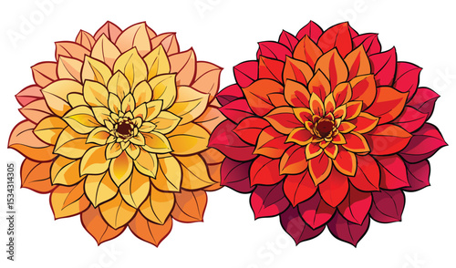 Photo of two vibrant dahlia blossoms, one warm orange and the other fiery red, isolated on white background