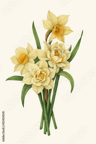 Antique color plant flower illustration: Rosa canina (dog rose) 