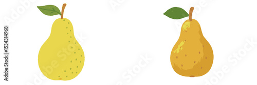 Two distinct pear illustrations showcasing different ripeness levels in a minimalist style