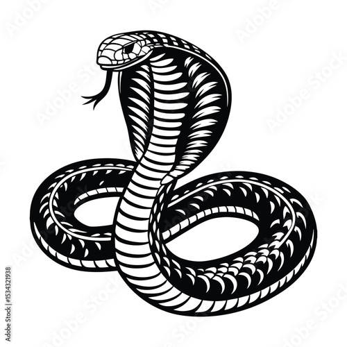  black and white silhouette of a snake coiled in a striking pose