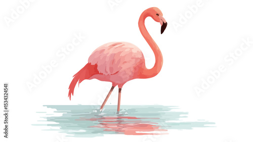Digital illustration of a single pink flamingo standing in shallow, clear water against a white background. The flamingo is depicted in profile view, showcasing its characteristic pink plumage,