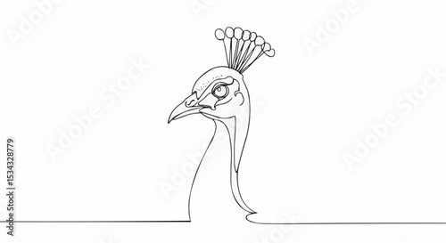 Elegant Peacock Sketch in a Line Art Style