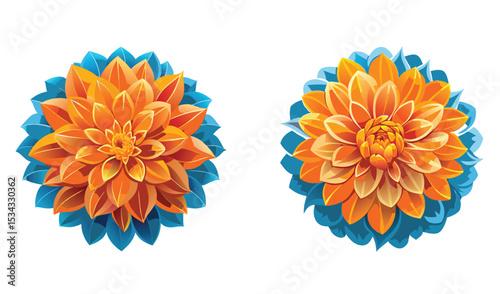 Photo of two vibrant orange dahlias, nestled in teal foliage, are isolated on white background