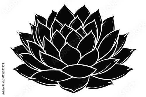 Elegant Black and White Succulent Illustration Detailed Botanical Art for Designers and Crafters
