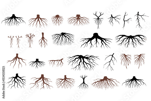Set of black vector silhouettes of palm trees plants and insects for nature design,