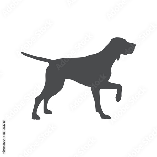 Elegant English Pointer Silhouette in Dark Gray on White Background Depicting a Noble Hunting Dog Breed