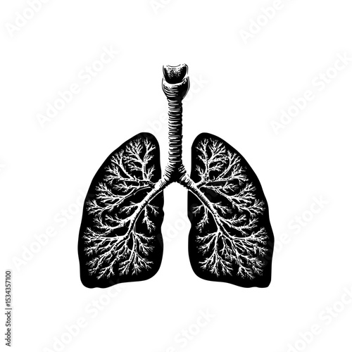 Minimalist vector of human lungs in black and white with organic vein structure