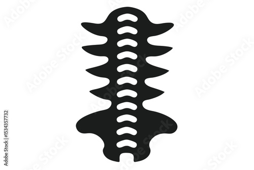 Black Silhouette of a Human Spinal Column with Vertebrae Illustration Anatomy