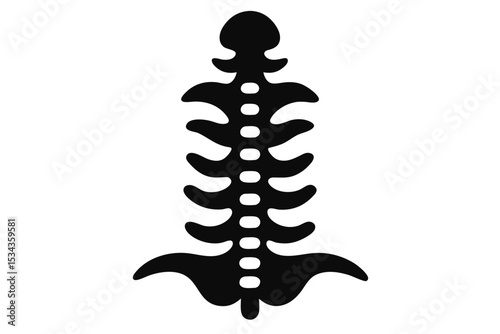 Simple Spine Silhouette Illustration Vertebrae, Spinal Cord, and Bone Structure Graphic Design