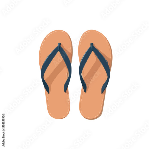 flip flops vector illustration