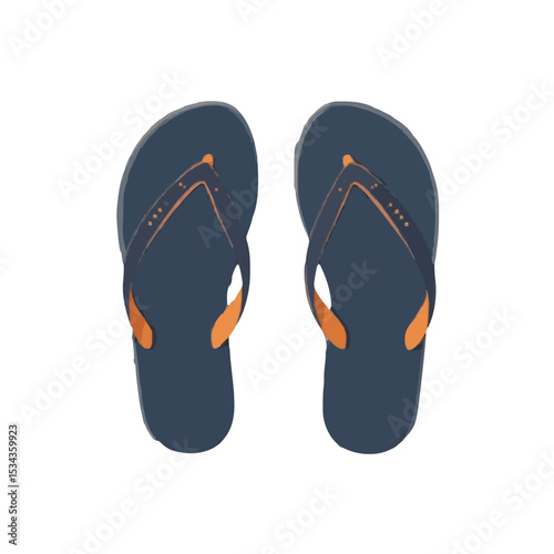 flip flops vector illustration