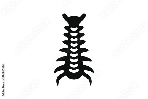 Isolated Spine Silhouette Detailed Vertebrae Column Graphic for Medical or Anatomical Illustrations