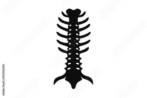 Black Silhouette Graphic of a Thoracic Spine with Ribs and Vertebrae Detail
