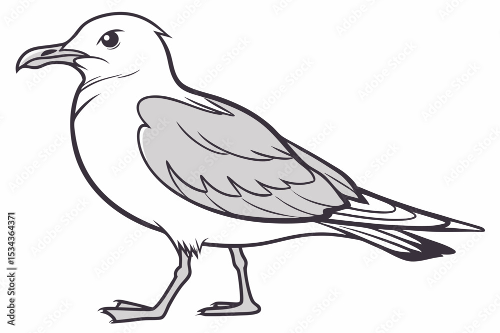 Fototapeta premium Hand-Drawn Seagull Illustration: Coastal Bird Art & Nature Sketch