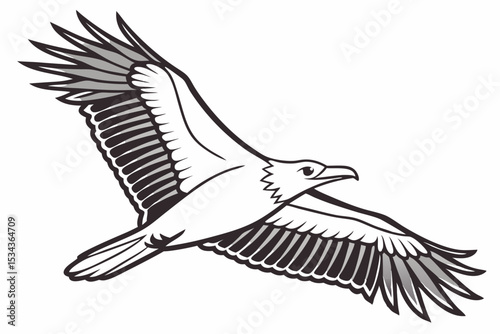 Golden Eagle Flying Sketch: Majestic Bird of Prey Illustration
