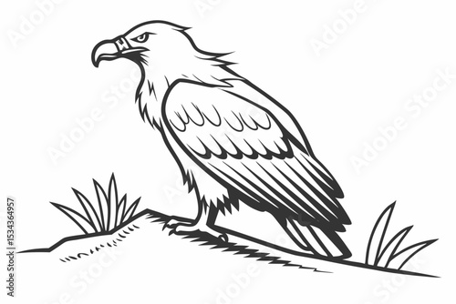  Majestic Bald Eagle Standing: Detailed Bird of Prey Illustration