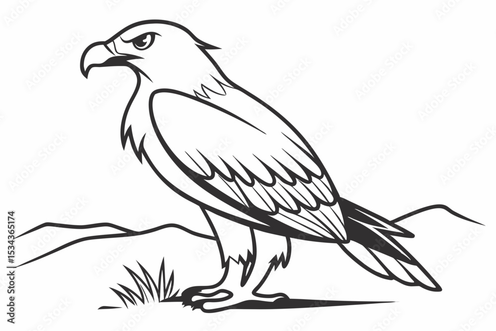 Obraz premium Majestic Bald Eagle Drawing: Realistic Bird of Prey Illustration