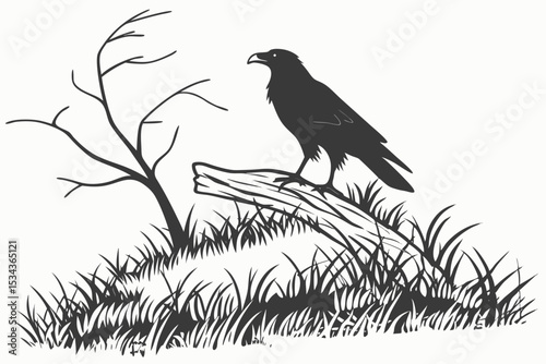 Black and White Raven on Branch Drawing: Wildlife Art