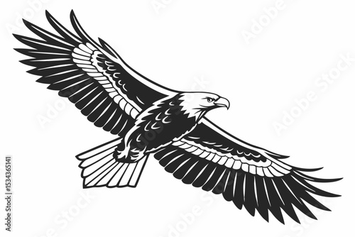  Majestic Flying Bald Eagle: Black and White Bird of Prey Art