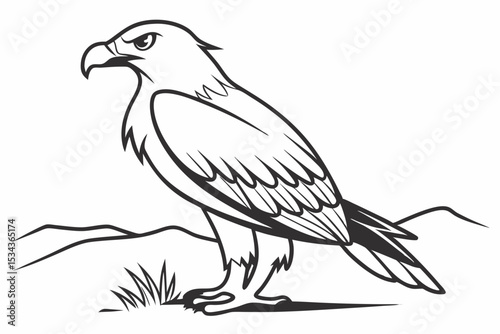  Majestic Bald Eagle Drawing: Realistic Bird of Prey Illustration