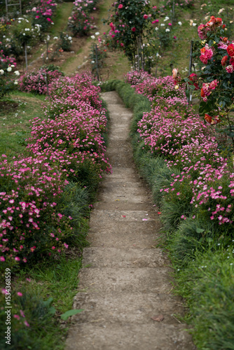 A path in the flower garden. A path between the flowers. Botanical Garden of Georgia