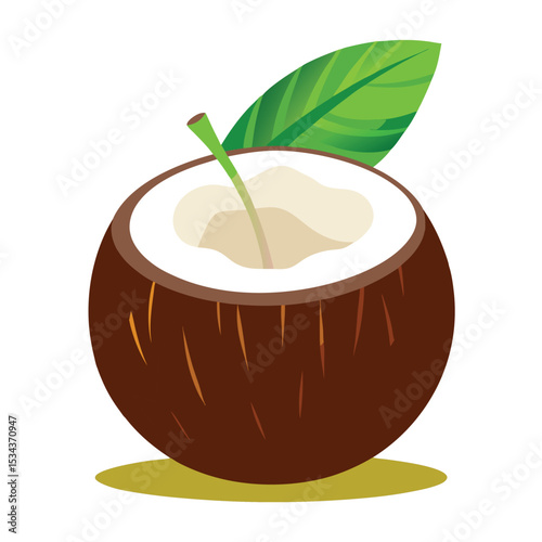 Vector coconut isolated on a white background