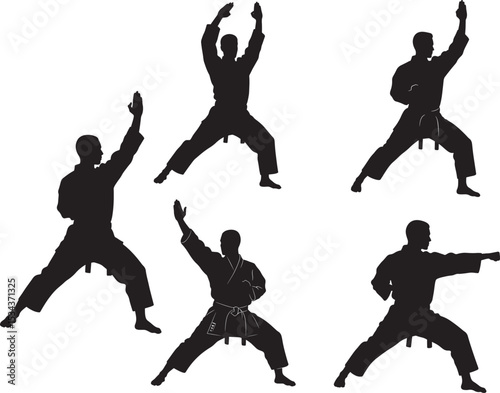 Karate Kata icon vector illustration