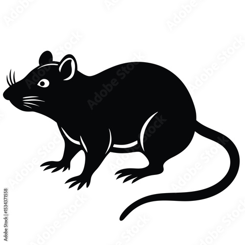 rat vector Illustrator 