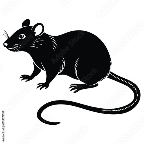 rat vector Illustrator 