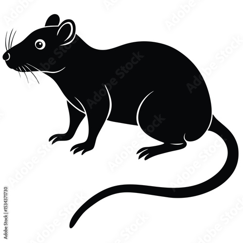 rat vector Illustrator 