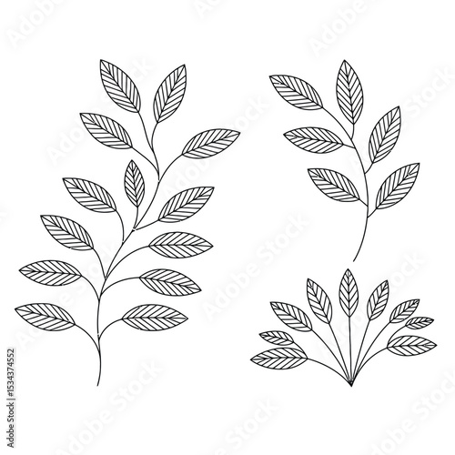 a minimalist line art illustration of three elegant plant stems with textured leaves in graceful arrangement on white background