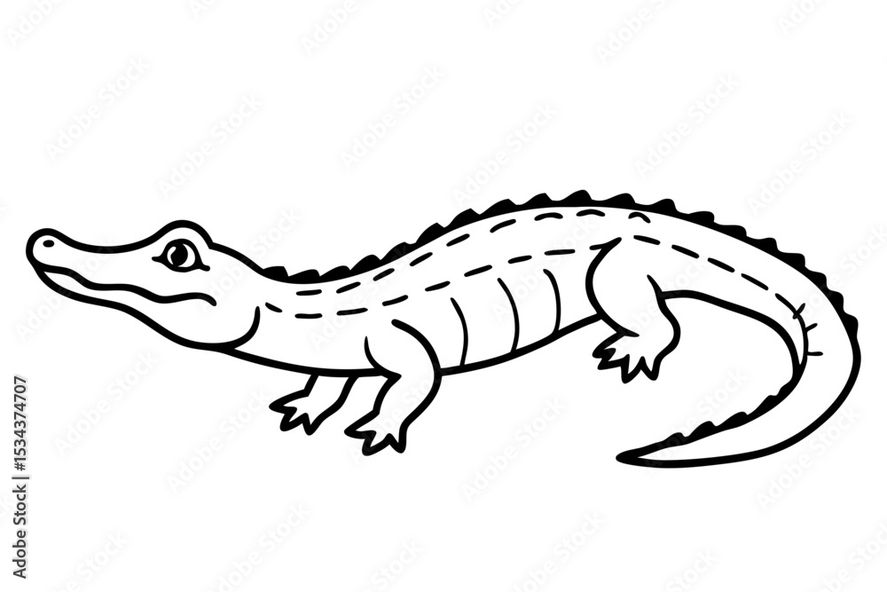 Fototapeta premium Crocodile Vector line art